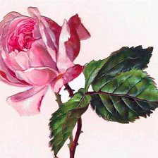 Схема вышивки «для открыт»