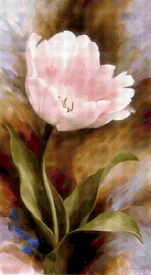 тюльпан - тюльпан, цветы - предпросмотр