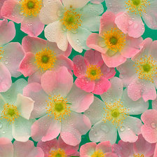 Схема вышивки «цветы»