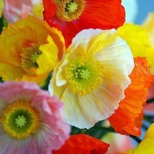 Схема вышивки «цветы»