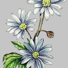 Схема вышивки «полевые цветы»