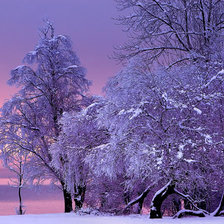 Схема вышивки «Зима»