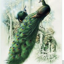 Схема вышивки «ПАВЛИНЫ»