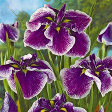 Схема вышивки «№365300»