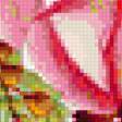 Предпросмотр схемы вышивки «роза» (№365309)