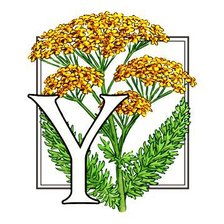 Схема вышивки «цветок»