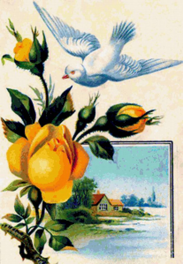 пейзаж, роза, голубь - птицы, природа, цветы, пейзаж, голубь, розы - предпросмотр