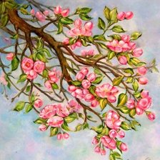 яблоневый цвет