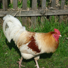 Схема вышивки «№365425»