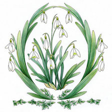 Схема вышивки «подснежники»