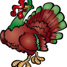 Схема вышивки «индюк»