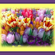 Схема вышивки «№365629»