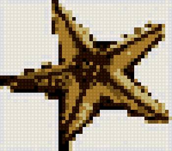 морская звезда - море, морские жители, морская звезда - предпросмотр