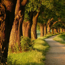 Схема вышивки «Аллея»