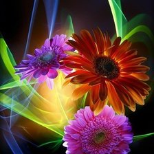 Схема вышивки «герберы»