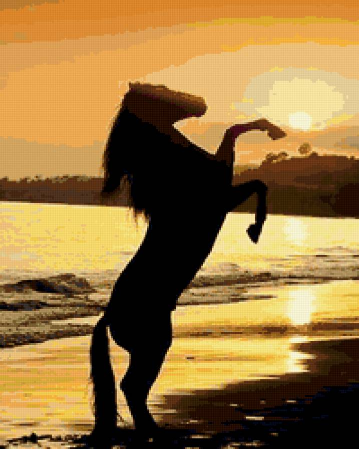 Лошадь на закате! - закат, лошади, море - предпросмотр