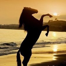 Схема вышивки «Лошадь на закате!»