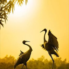 Схема вышивки «№365929»