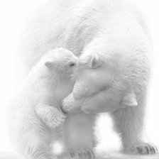 Схема вышивки «№365933»