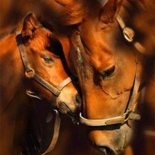 Схема вышивки «Лошадки»