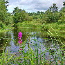 Схема вышивки «озеро»