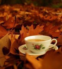 Схема вышивки «№366094»