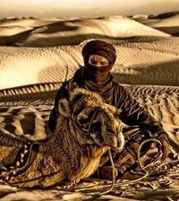 Схема вышивки «№366099»