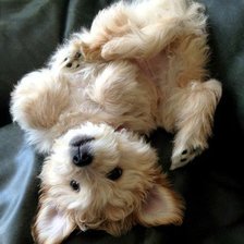 Схема вышивки «№366102»