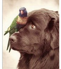 Схема вышивки «№366105»