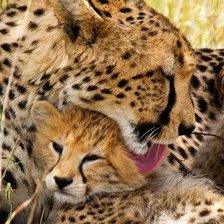 Схема вышивки «№366110»