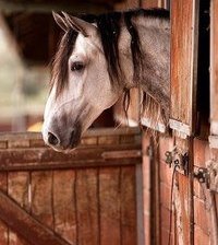 Схема вышивки «№366123»