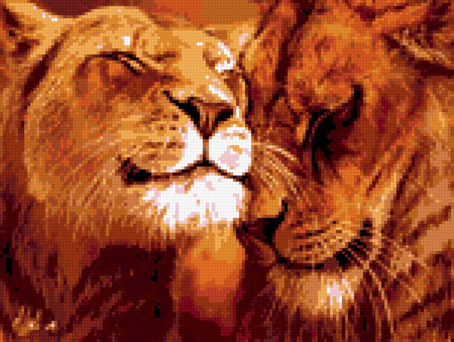 львы - предпросмотр