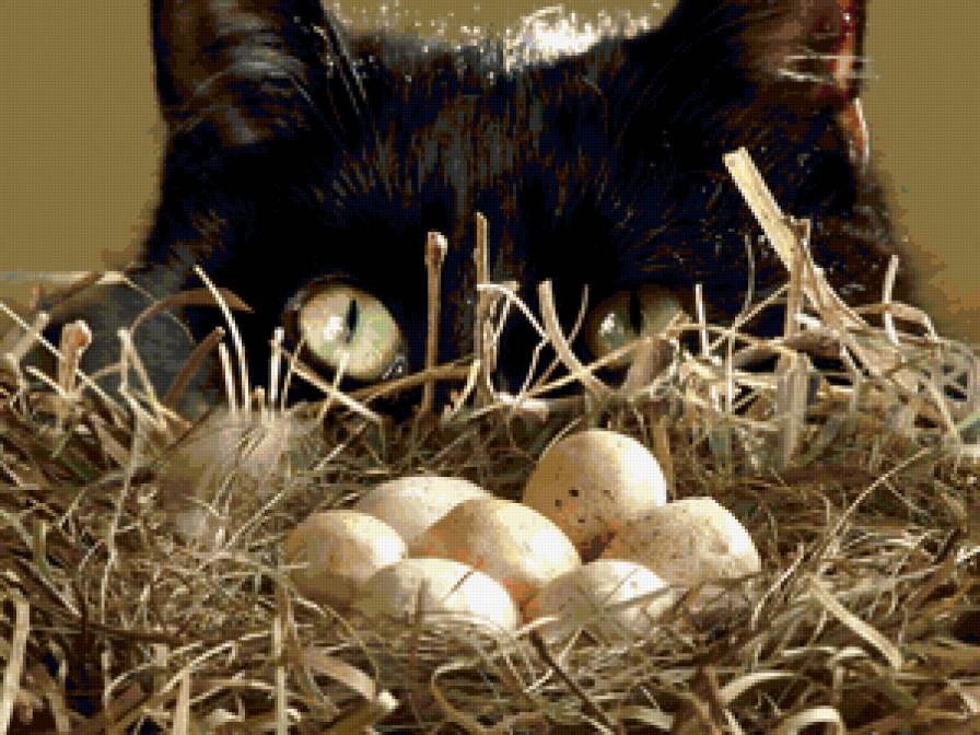 Взгляд - гнездо, кошки, охота - предпросмотр