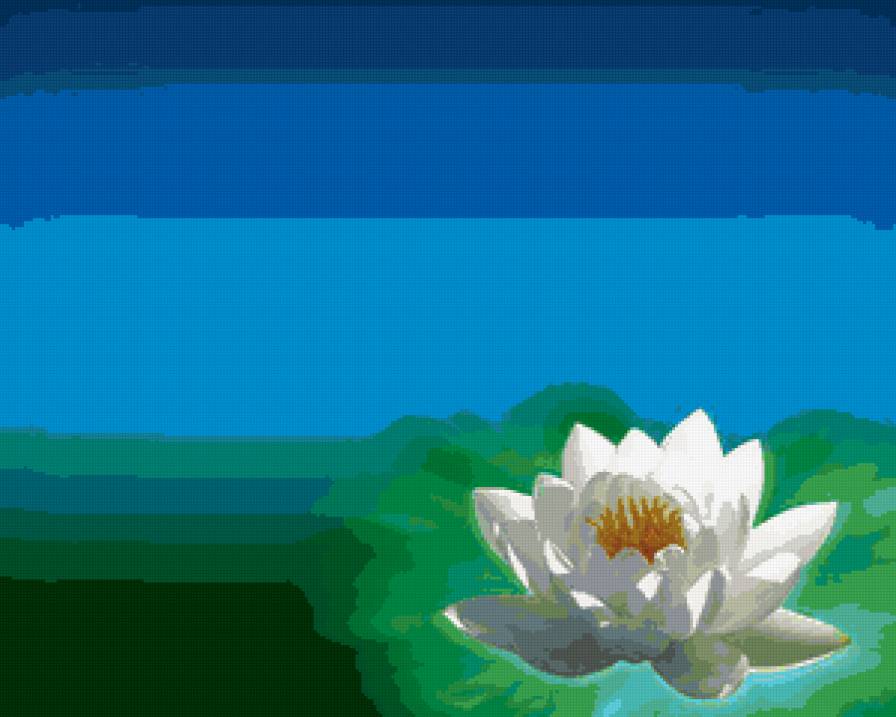 Лотос - цветы - предпросмотр