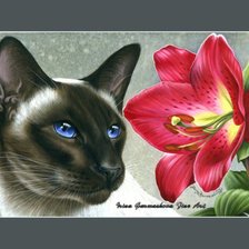 Схема вышивки «кошечка-2»