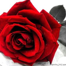 Схема вышивки «роза»