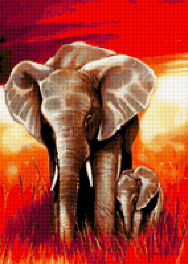 Африканские слоны - предпросмотр