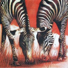 Схема вышивки «Зебры»