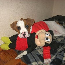 Схема вышивки «щенок»