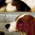 Предпросмотр схемы вышивки «собачья серия» (№366654)