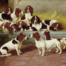 Схема вышивки «собачья серия»