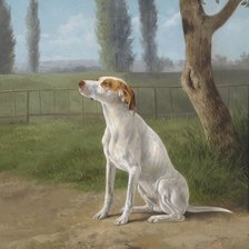 Схема вышивки «собачья серия»