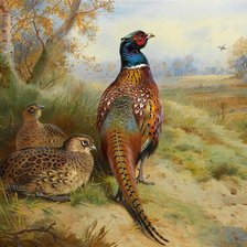 Схема вышивки «№366724»