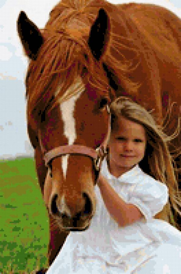 девочка и лошадь - предпросмотр