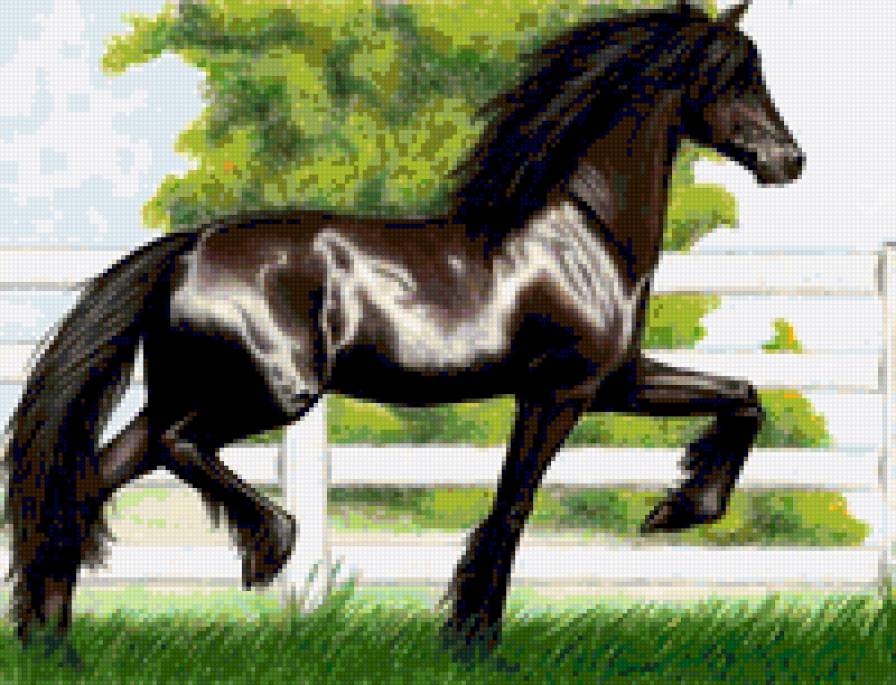 Ворной - предпросмотр