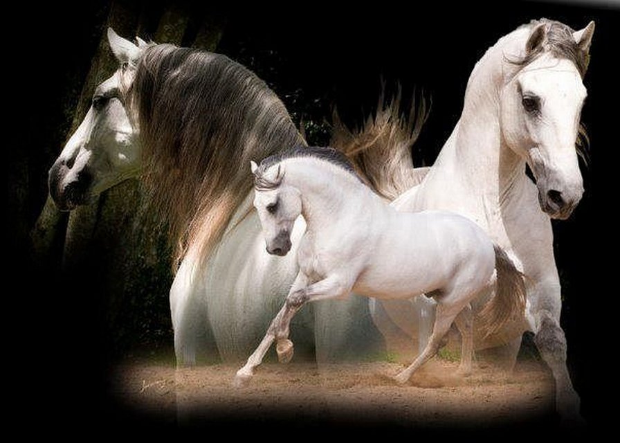 №366800 - оригинал