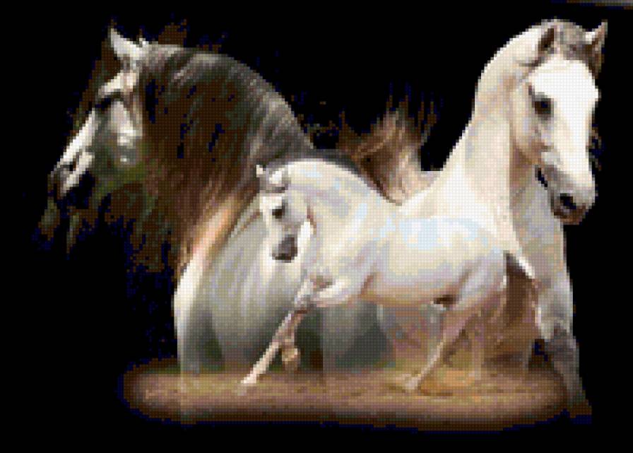 №366800 - предпросмотр