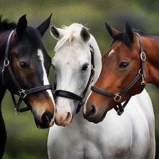 Схема вышивки «лошадки»