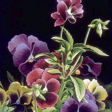 Схема вышивки «анютины глазки»