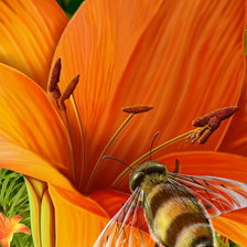 Схема вышивки «№366945»